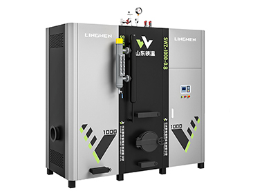 1000KG生物質蒸汽發生器單體 1000KG生物質蒸汽發生器單體