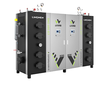 600KG生物質蒸汽發生器 600KG生物質蒸汽發生器